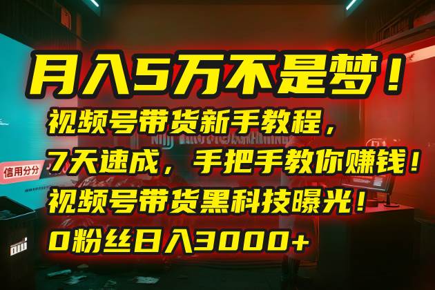 （15595期）月入5万不是梦！视频号带货新手教程，7天速成，手把手教你赚钱！视频号… - 来及网络