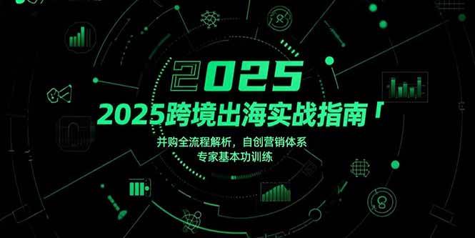 （15503期）2025跨境出海实战指南，并购全流程解析，自创营销体系，专家基本功训练 - 来及网络