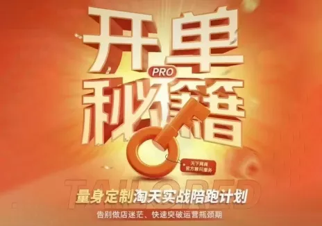 天下网商·淘宝天猫陪跑计划(更新7月) - 来及网络