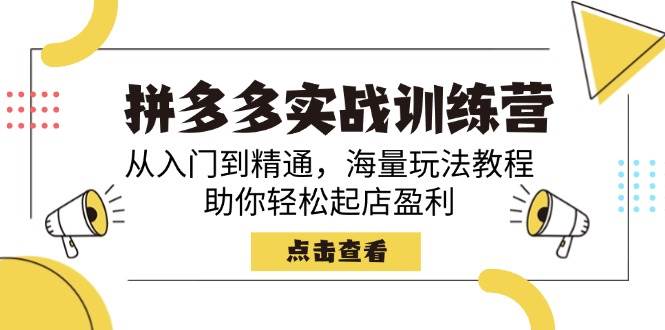 （14392期）拼多多实战训练营，从入门到精通，海量玩法教程，助你轻松起店盈利 - 来及网络