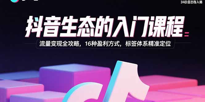 抖音生态的入门课程：流量变现全攻略，16种盈利方式，标签体系精准定位 - 来及网络