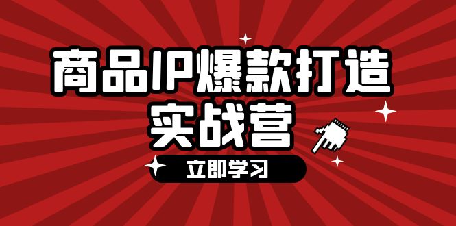 （12136期）商品-IP爆款打造实战营【第四期】，手把手教你打造商品IP，爆款 不断 - 来及网络