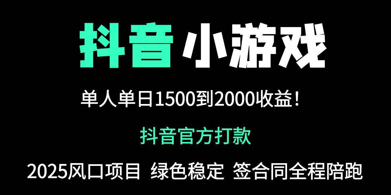 （14527期）抖音官方小游戏2025全网最新玩法，暴利赚钱项目，单机日入2000+，绝不… - 来及网络
