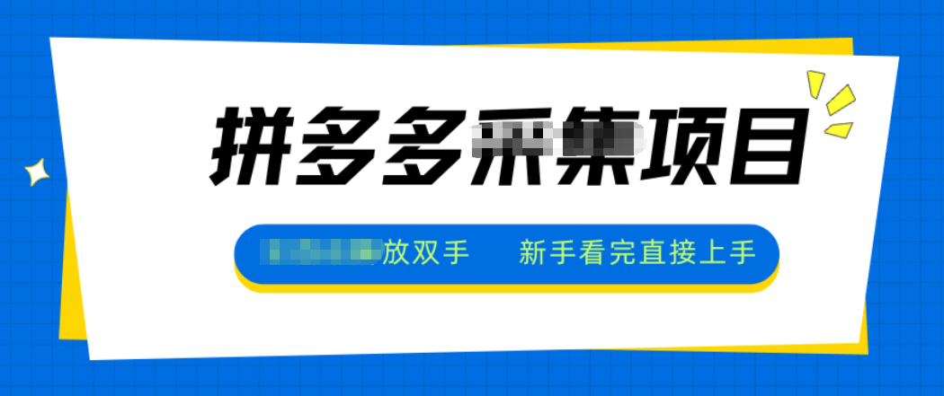拼多多电商采集，一小时50+，操作简单，零投资 - 来及网络