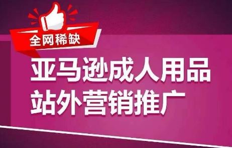 全网稀缺！亚马逊成人用品站外营销推广，教你引爆站外流量，开启爆单模式 - 来及网络