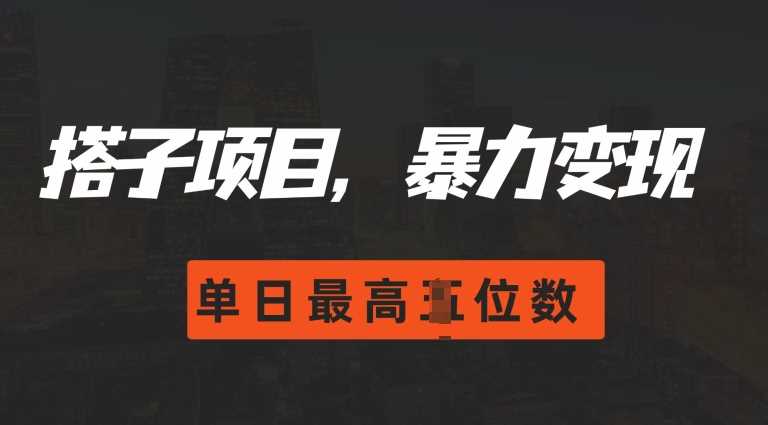 2024搭子玩法，0门槛，暴力变现，单日最高破四位数【揭秘】 - 来及网络