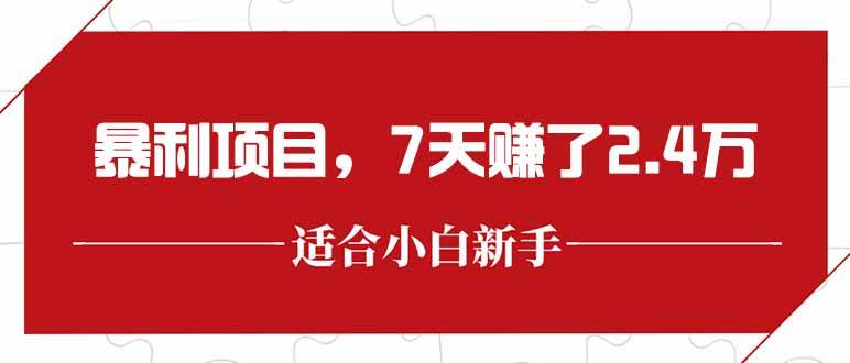 （15228期）最新暴利项目，每单收益轻松在300以上，7天赚了2.4万 - 来及网络