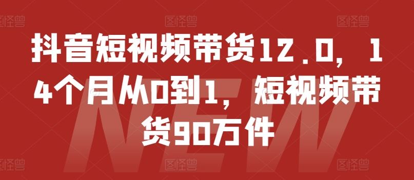 抖音短视频带货12.0，14个月从0到1，短视频带货90万件 - 来及网络
