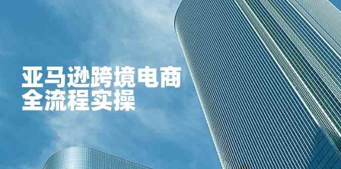 亚马逊跨境电商全流程实操，教你从零开始，掌握店铺运营与广告技巧 - 来及网络