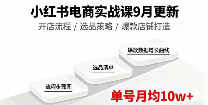 （16120期）小红书电商实战课9月更新，开店流程/选品策略/爆款店铺打造，单号月均10w+ - 来及网络