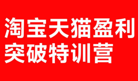 玺承·淘宝天猫盈利突破特训营(25年12月线下课)【音频+字幕】 - 来及网络