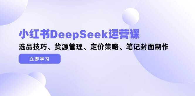 小红书DeepSeek运营课，选品技巧、货源管理、定价策略、笔记封面制作 - 来及网络