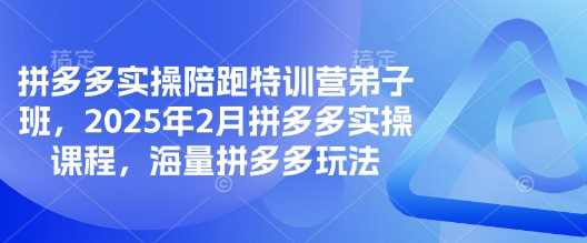 拼多多实操陪跑特训营弟子班，2025年2月拼多多实操课程，海量拼多多玩法 - 来及网络