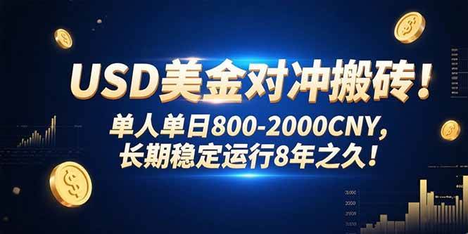 （15551期）USD美金对冲搬砖!单人单日800-2000CNY，长期稳定运行8年之久! - 来及网络