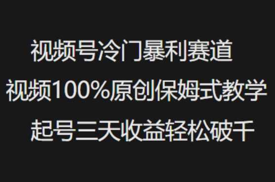 视频号冷门暴利赛道视频100%原创保姆式教学起号三天收益轻松破千 - 来及网络