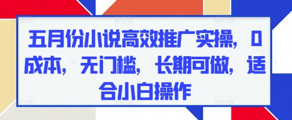 五月份小说高效推广实操，0成本，无门槛，长期可做，适合小白操作 - 来及网络