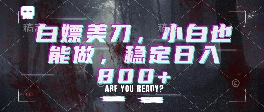 白嫖美刀，小白也能做，稳定日入800+ - 来及网络