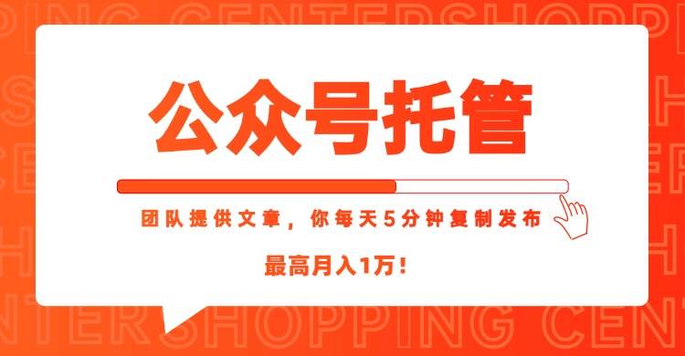 （15109期）【公众号托管 】我提供文章，你每天５分钟复制发布，最高月入1W - 来及网络