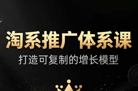 大山·淘系推广体系课 - 来及网络