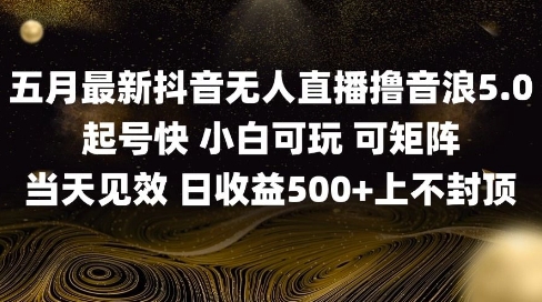 2025五月最新无人直播撸音浪单日产出5张+实操教程【揭秘】 - 来及网络