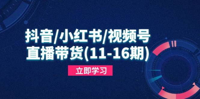 （14611期）抖音/小红书/视频号/直播带货(11-16期)，快速掌握平台规则，打造爆款内容 - 来及网络
