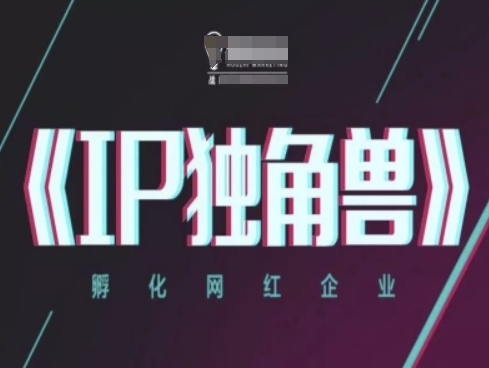 IP独角兽，孵化网红企业，ip教程 - 来及网络