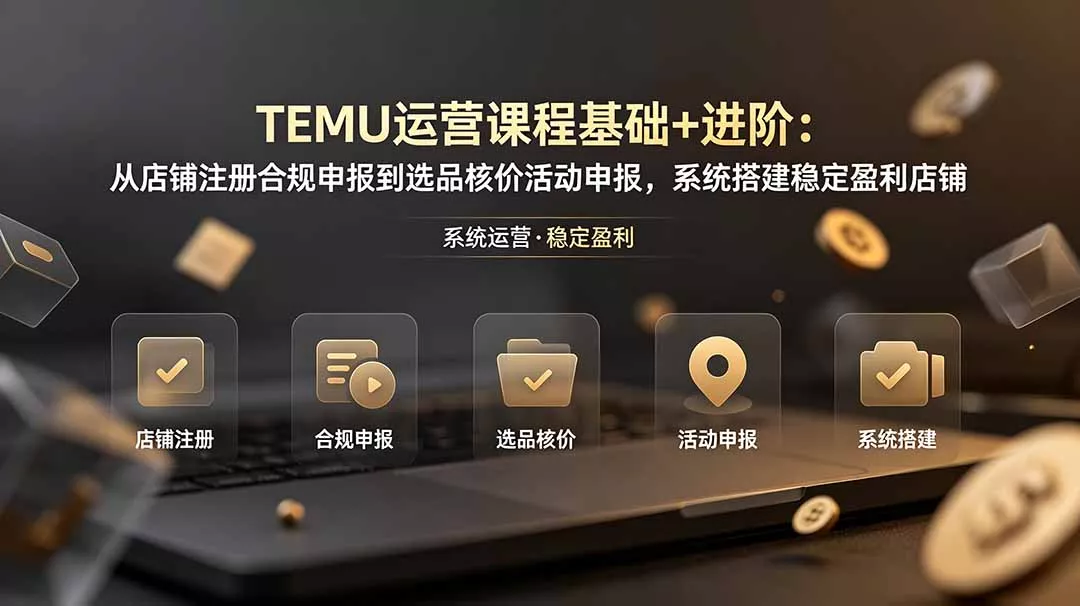 TEMU运营课程(基础+进阶 - 来及网络