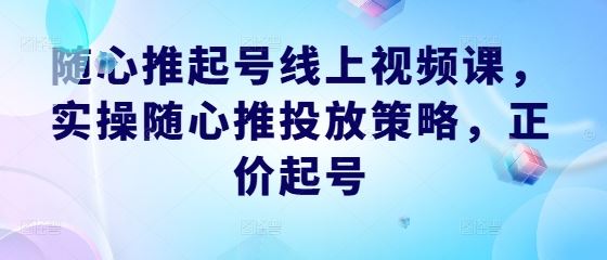 随心推起号线上视频课，实操随心推投放策略，正价起号 - 来及网络