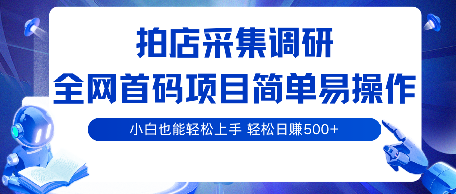 拍店采集调研，全网首码项目，简单易操作， 小白也能轻松上手，轻松日赚500+ - 来及网络