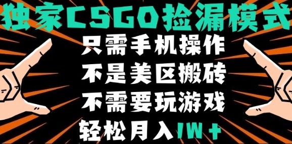CSGO自动捡漏项目，最新独家玩法，不是美区搬砖，不需要了解和玩游戏，新手小白轻松月入1W+【揭秘】 - 来及网络