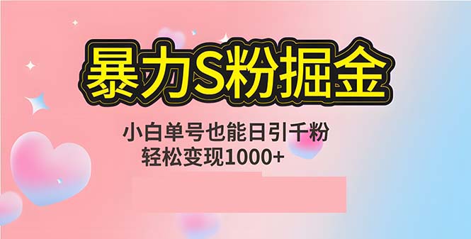 （12778期）单人单机日引千粉，变现1000+，S粉流量掘金计划攻略 - 来及网络