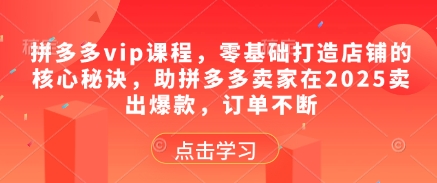 拼多多vip课程，零基础打造店铺的核心秘诀，助拼多多卖家在2025卖出爆款，订单不断 - 来及网络