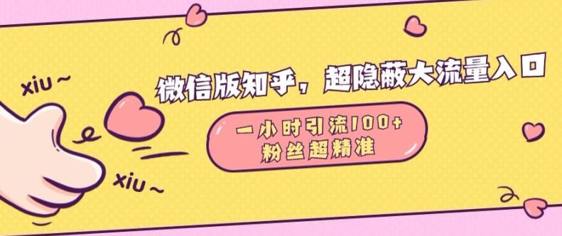 微信版知乎，超隐蔽流量入口1小时引流100人，粉丝质量超高【揭秘】 - 来及网络