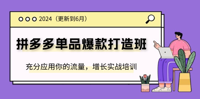 （11556期）2024拼多多-单品爆款打造班(更新6月)，充分应用你的流量，增长实战培训 - 来及网络