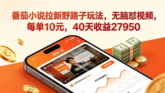 番茄小说拉新野路子玩法，无脑怼视频，每单10元，40天收益27950 - 来及网络