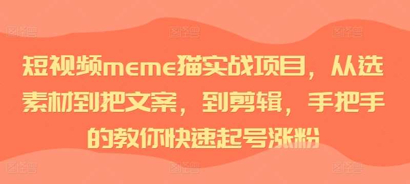 短视频meme猫实战项目，从选素材到把文案，到剪辑，手把手的教你快速起号涨粉 - 来及网络