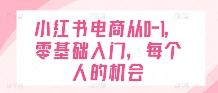小红书电商从0-1，零基础入门，每个人的机会 - 来及网络