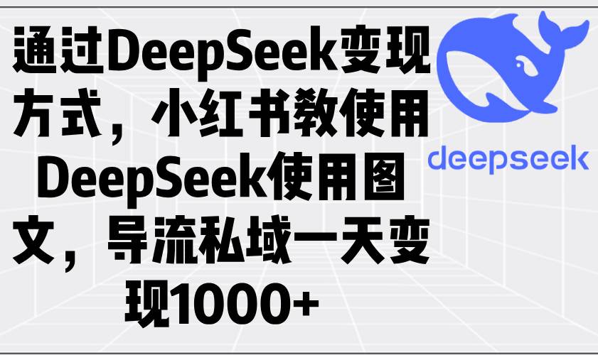 （14179期）通过DeepSeek变现方式，小红书教使用DeepSeek图文，导流私域一天变现1000+ - 来及网络