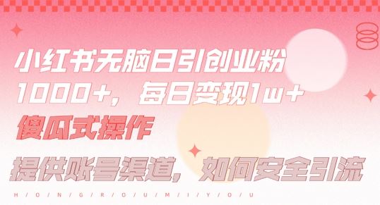 小红书无脑每日引流创业粉500+，小白每天只花半小时，躺赚长尾收益【揭秘】 - 来及网络