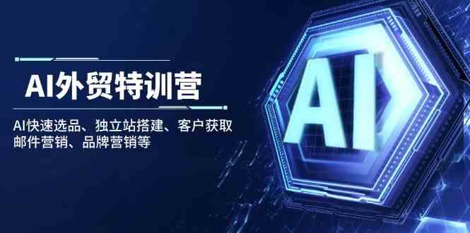 AI外贸特训营：AI快速选品、独立站搭建、客户获取、邮件营销、品牌营销等 - 来及网络