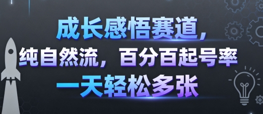 成长感悟赛道，纯自然流，百分百起号率 一天轻松多张 - 来及网络