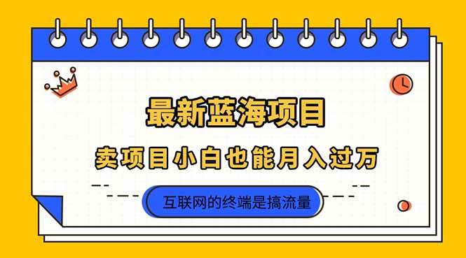 （14289期）2025年最新蓝海项目，卖项目小白也能月入过万 - 来及网络