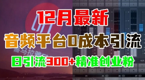 12月最新：音频平台0成本引流，日引流300+精准创业粉 - 来及网络