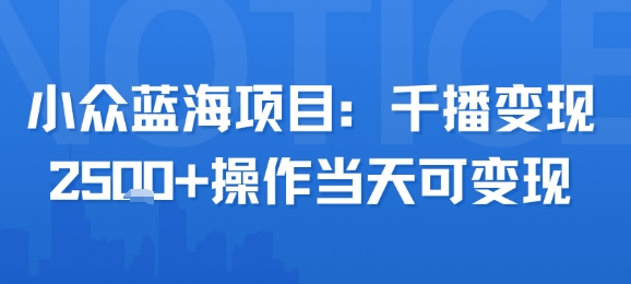 小众蓝海项目，千播变现2.5k+操作当天可变现 - 来及网络