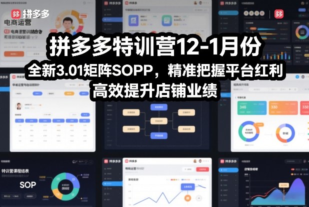 拼多多特训营12-1月份，全新3.01矩阵Sop，精准把握平台红利，高效提升店铺业绩 - 来及网络
