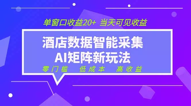 2026酒店数据采集ai智能矩阵新风口 低成本 高收益 当天见收益 单窗口20+ - 来及网络