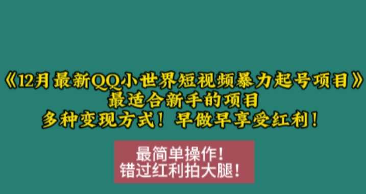 12月最新QQ小世界短视频暴力起号项目，最适合新手的项目，多种变现方式 - 来及网络
