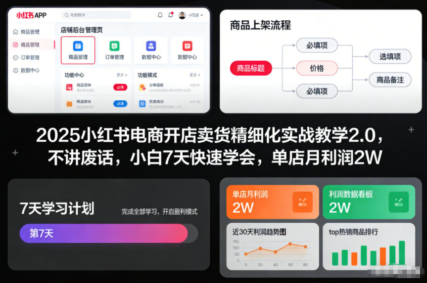 2025小红书电商开店卖货精细化实战教学2.0，不讲废话，小白7天快速学会，单店月利润2W - 来及网络
