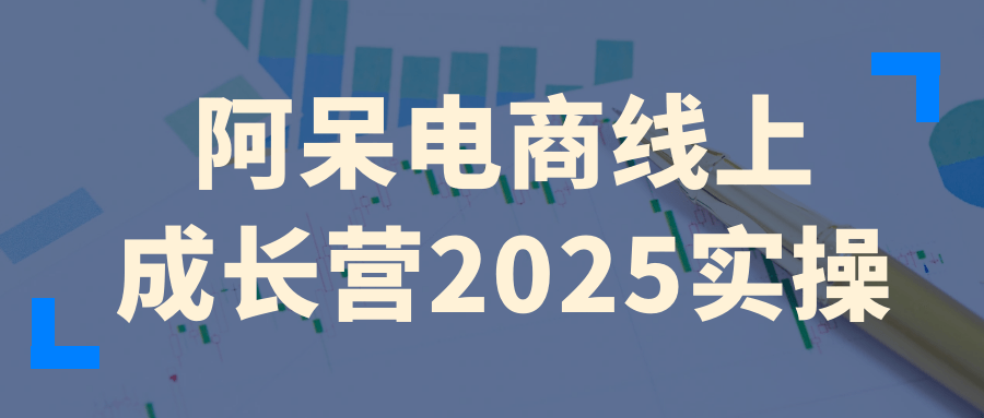 阿呆电商线上成长营2025实操 - 来及网络