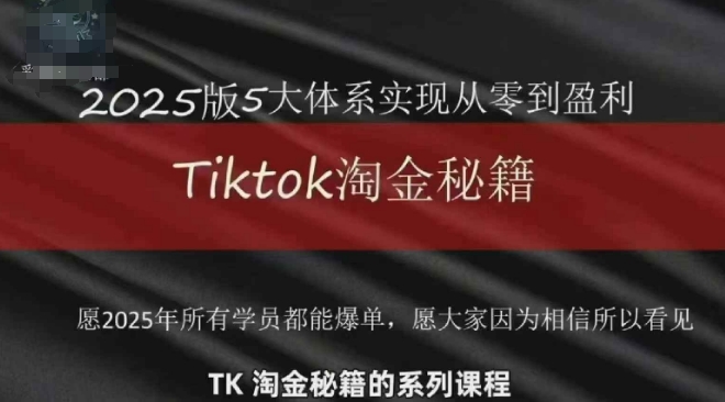 TikTok跨境2025淘金秘籍，2025TikTok从0到盈利变现 - 来及网络